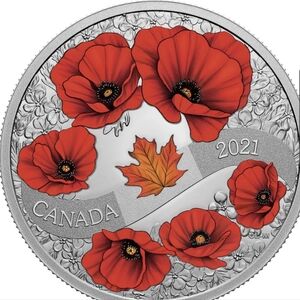 2021 RCM $20 A Wreath of Remembrance: Lest We Forget - Pure Silver Coin